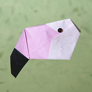 44k_Flamingo_kurz_www.jpg